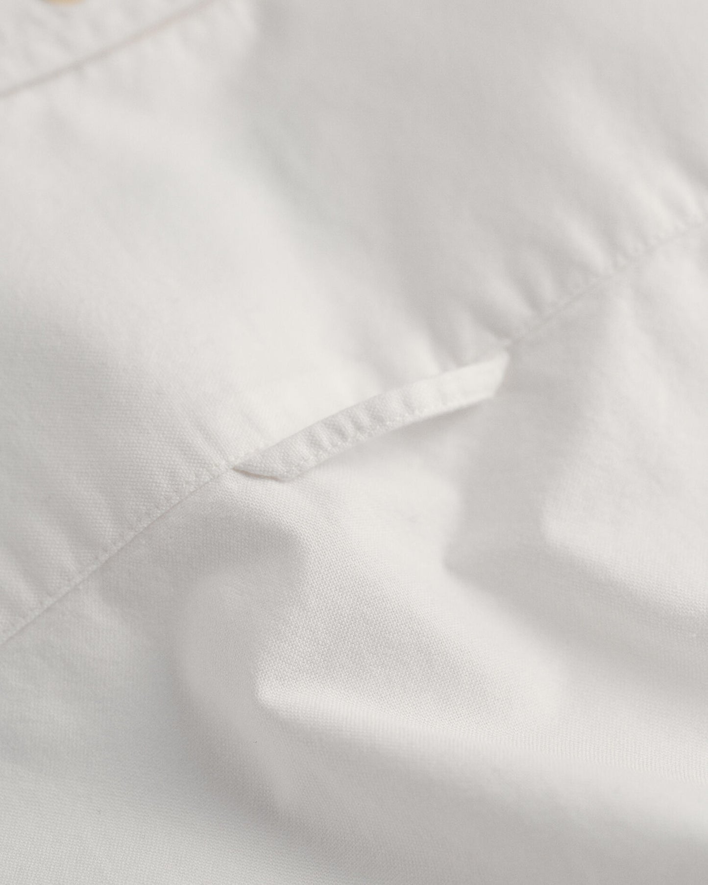 Chemise Oxford Classique Coupe Ajustée